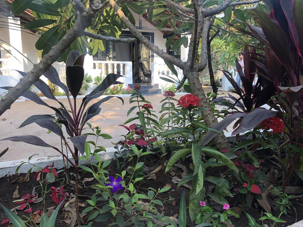 God'S Gift Morjim Hotel Exterior foto